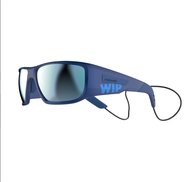 WIPSUN POLARIZED