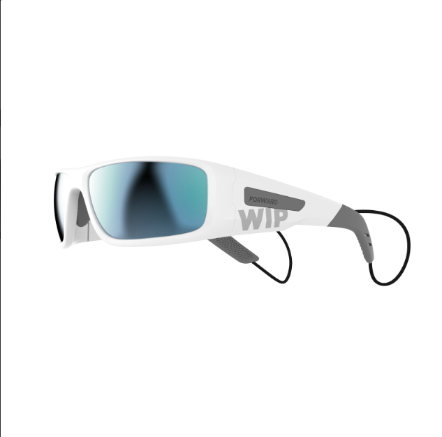 WIPSUN POLARIZED