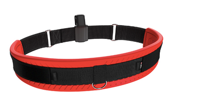 WING BELT 2.0